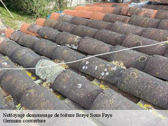 Nettoyage demoussage de toiture  braye-sous-faye-37120 Germain couverture