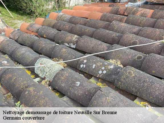Nettoyage demoussage de toiture  neuville-sur-brenne-37110 Germain couverture