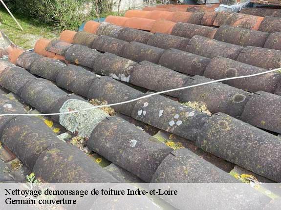 Nettoyage demoussage de toiture 37 Indre-et-Loire  Germain couverture