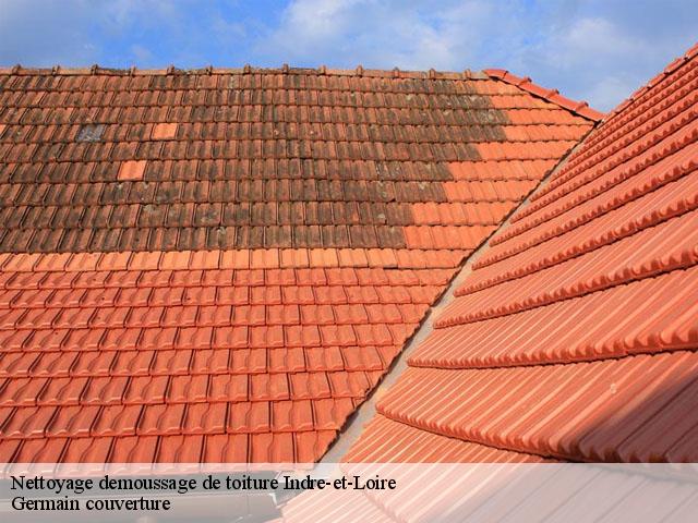 Nettoyage demoussage de toiture Indre-et-Loire 