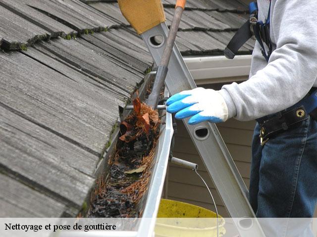 Nettoyage et pose de gouttière Indre-et-Loire 