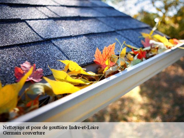 Nettoyage et pose de gouttière Indre-et-Loire 