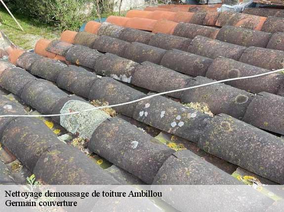 Nettoyage demoussage de toiture  ambillou-37340 Germain couverture