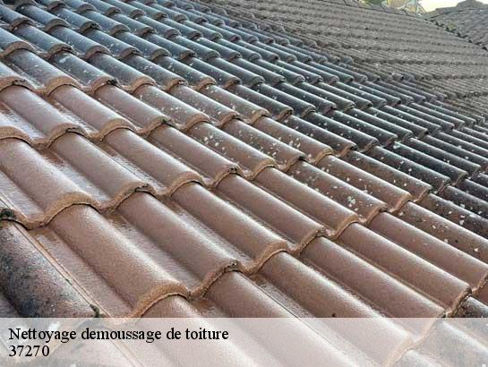 Nettoyage demoussage de toiture  37270