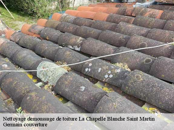 Nettoyage demoussage de toiture  la-chapelle-blanche-saint-martin-37240 Germain couverture