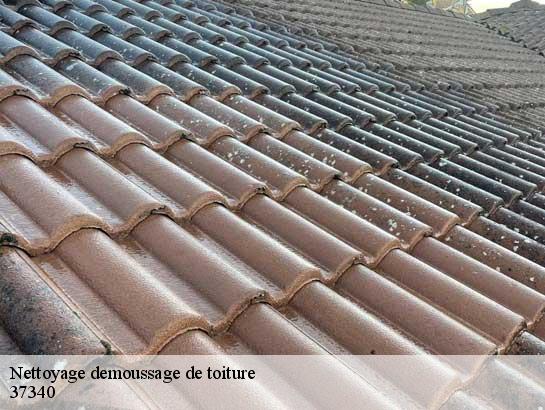 Nettoyage demoussage de toiture  37340