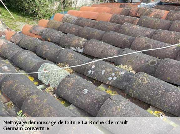 Nettoyage demoussage de toiture  la-roche-clermault-37500 Germain couverture