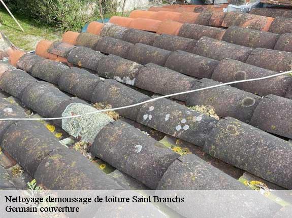 Nettoyage demoussage de toiture  saint-branchs-37320 Germain couverture