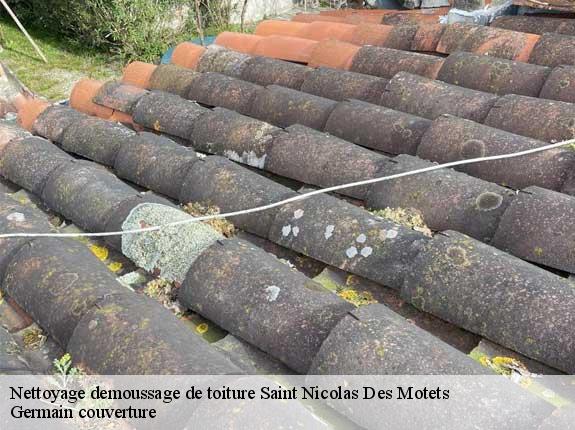 Nettoyage demoussage de toiture  saint-nicolas-des-motets-37110 Germain couverture