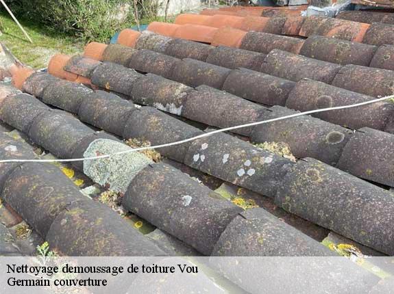 Nettoyage demoussage de toiture  vou-37240 Germain couverture