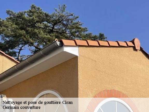 Nettoyage et pose de gouttière  ciran-37240 Germain couverture