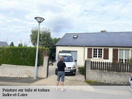 Peinture sur tuile et toiture Indre-et-Loire 