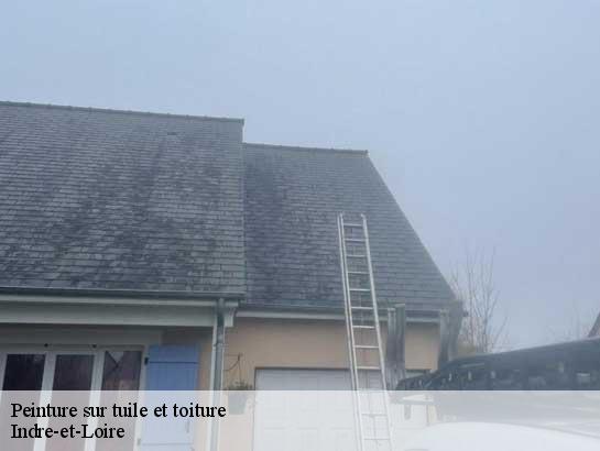 Peinture sur tuile et toiture Indre-et-Loire 