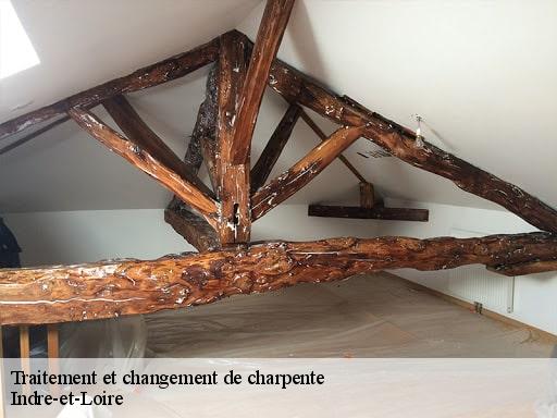 Traitement et changement de charpente Indre-et-Loire 