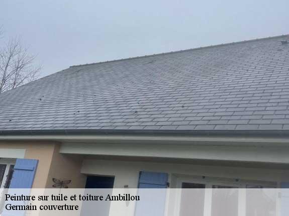 Peinture sur tuile et toiture  ambillou-37340 Germain couverture