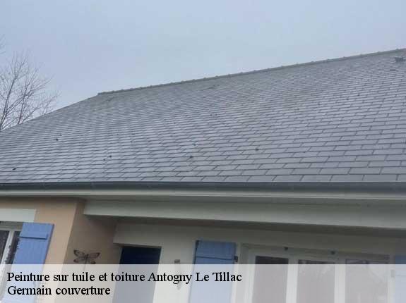 Peinture sur tuile et toiture  antogny-le-tillac-37800 Germain couverture