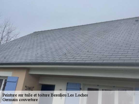 Peinture sur tuile et toiture  beaulieu-les-loches-37600 Germain couverture