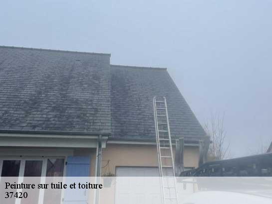 Peinture sur tuile et toiture  37420