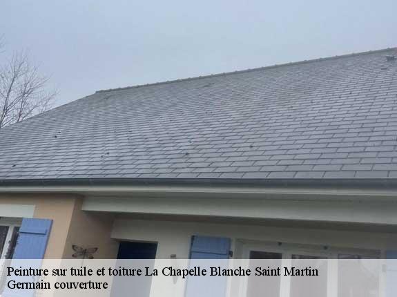 Peinture sur tuile et toiture  la-chapelle-blanche-saint-martin-37240 Germain couverture