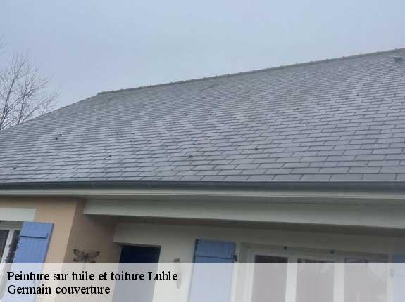 Peinture sur tuile et toiture  luble-37330 Germain couverture