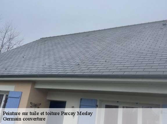 Peinture sur tuile et toiture  parcay-meslay-37210 Germain couverture
