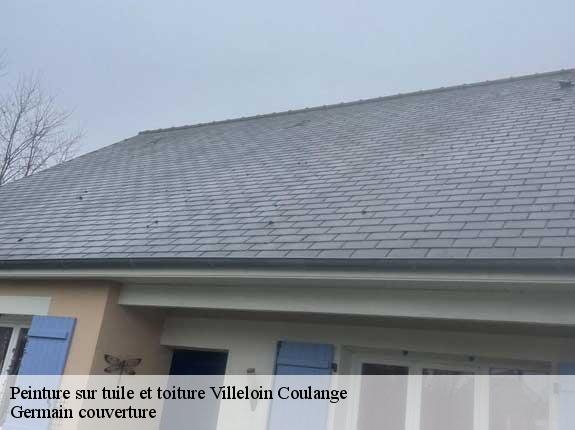 Peinture sur tuile et toiture  villeloin-coulange-37460 Germain couverture