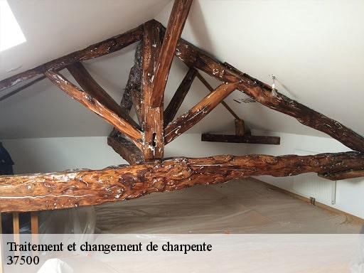 Traitement et changement de charpente  37500