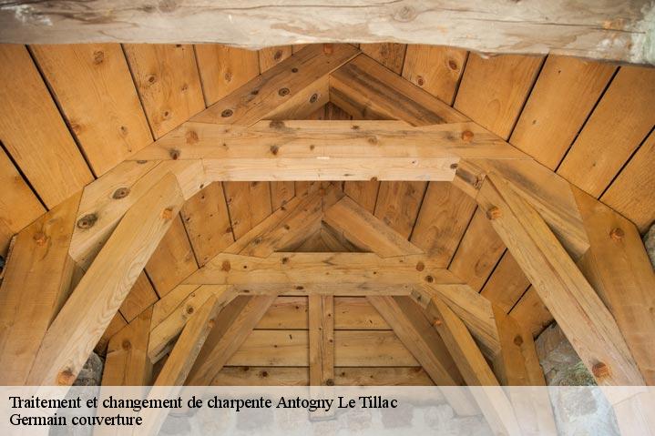 Traitement et changement de charpente  antogny-le-tillac-37800 Germain couverture