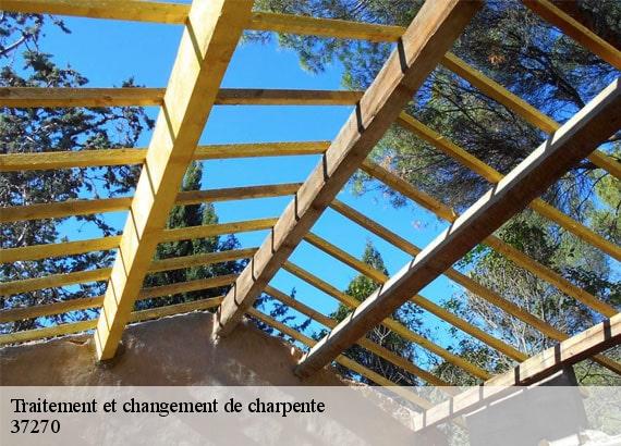 Traitement et changement de charpente  37270