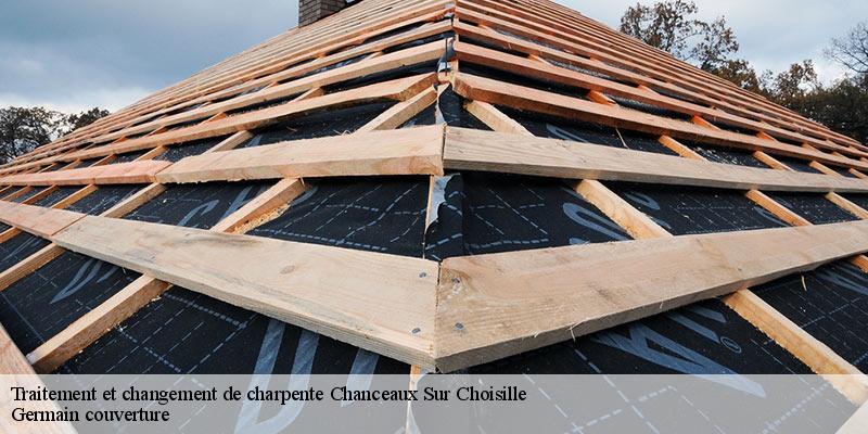 Traitement et changement de charpente  37390