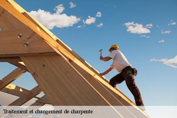 Traitement et changement de charpente  37330