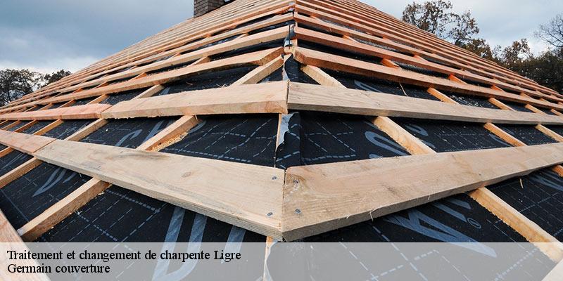 Traitement et changement de charpente  37500