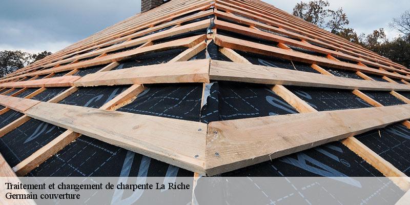 Traitement et changement de charpente  37520