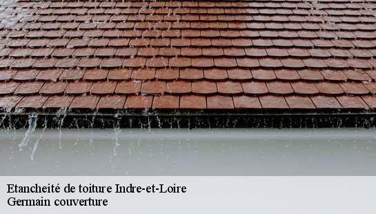 Etancheité de toiture Indre-et-Loire 
