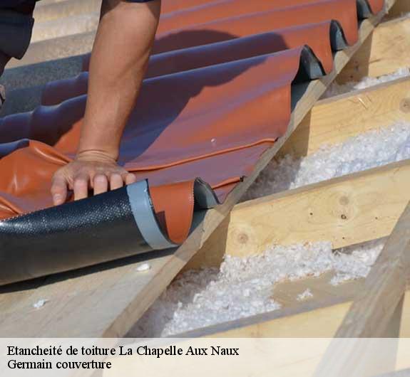 Etancheité de toiture  la-chapelle-aux-naux-37130 Germain couverture