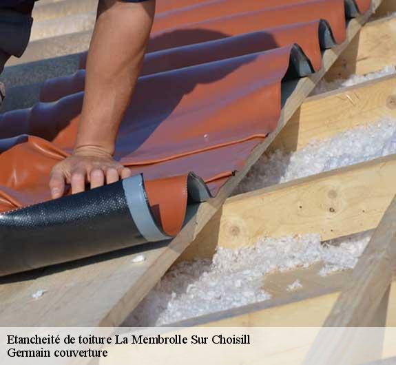 Etancheité de toiture  la-membrolle-sur-choisill-37390 Germain couverture