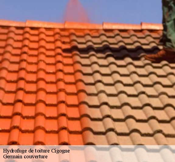 Hydrofuge de toiture  cigogne-37310 Germain couverture